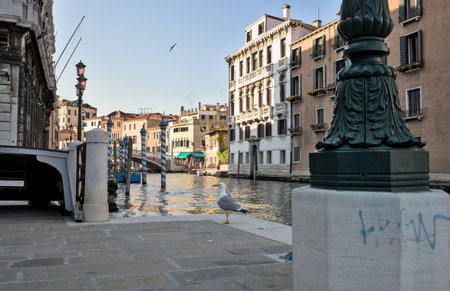 City of Venice Grand Canal and bridges at night on 21st May 2022 Venice Italyのeditorial素材