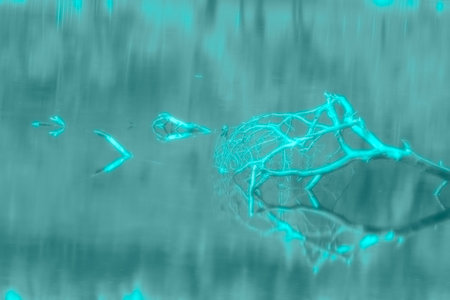 Abstract green hue shaded imageの写真素材