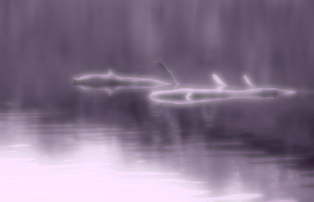 Abstract image shaded purple hueの写真素材