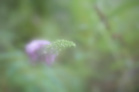 wallpaper green wallpaper, abstract and shapes, green color, backgrounds, patternの写真素材