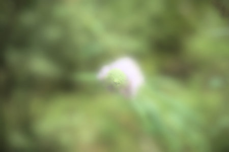 wallpaper green wallpaper, abstract and shapes, green color, backgrounds, patternの写真素材