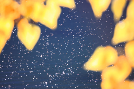 Abstract bokeh background with autumn leaves and falling snowflakesの写真素材