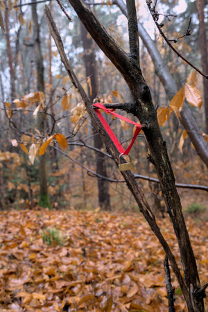 Red ribbon on a tree in the autumn forest. Symbol of peace and love.の写真素材