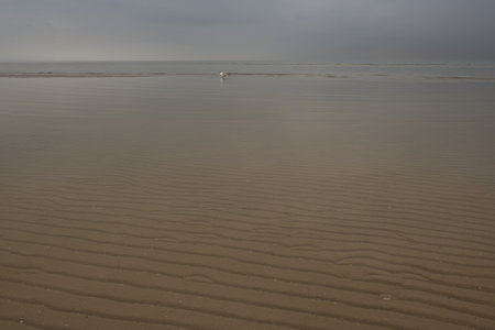 Sand dunes on the beach at low tide in a cloudy dayの写真素材