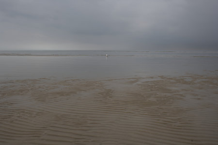 Stormy weather on the beach in the Netherlands. The storm is coming.の写真素材