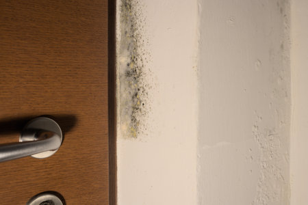 Mold on the door handle. Mold on the door handle.の写真素材