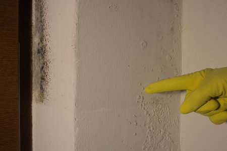 Hand in yellow glove pointing at a white wall. Cleaning service concept.の写真素材