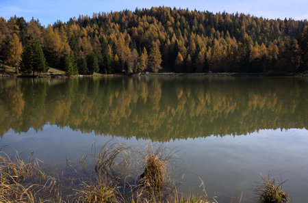 Autumn alpine lake with reflection of the forest in the waterの写真素材