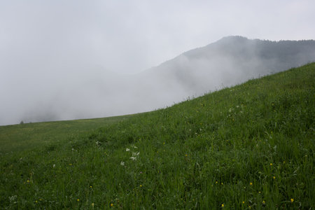 Meadow in the mountains with fog and clouds in the backgroundの写真素材