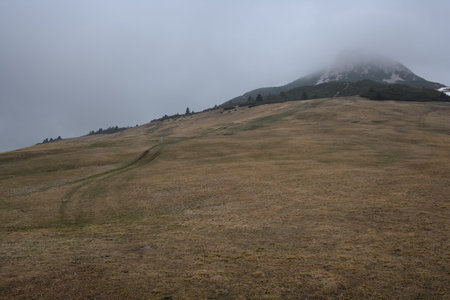 Beautiful mountain landscape in the clouds on a foggy day.の写真素材