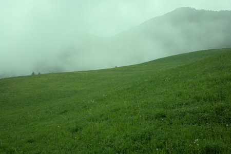 Green meadow and mountains in the fog. Beautiful summer landscape.の写真素材