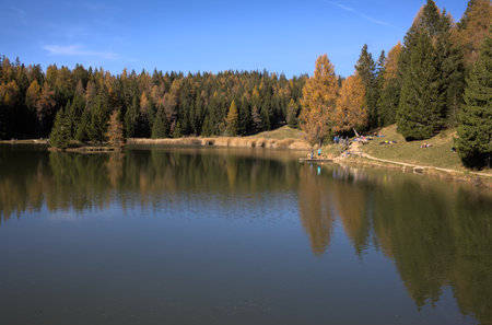 Beautiful autumn landscape with lake and forest in the Carpathiansの写真素材