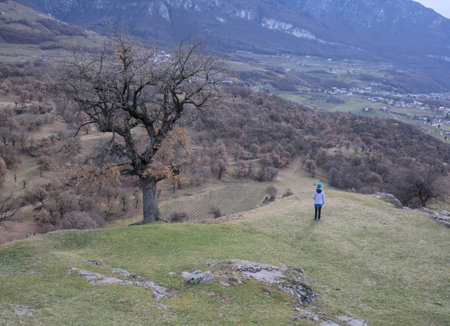 A woman standing on a hill with a tree in the background.の写真素材