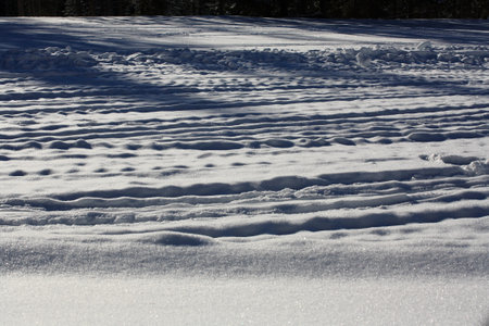 Snowy winter landscape with traces of skiers and snowdriftsの写真素材