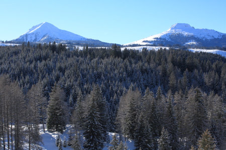 Winter in the Swiss Alps (Braunwald, Switzerland)の写真素材