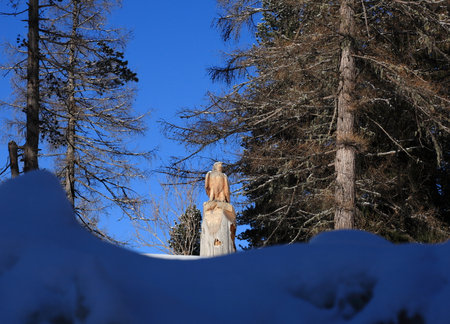 Statue of the Virgin Mary in the forest in winter, Italyの写真素材