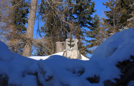 Two squirrels sitting on a tree stump in the snowy forest.の写真素材