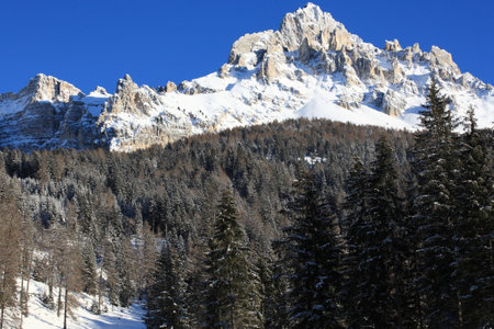 Winter in the Swiss Alps (Braunwald, Glarus, Switzerland)の写真素材