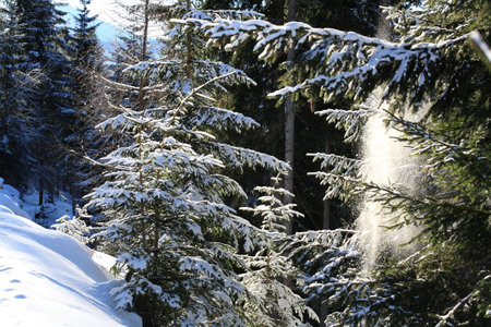 Winter in the Swiss Alps (Braunwald, Switzerland)の写真素材