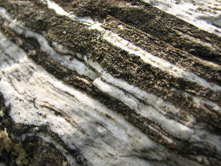 rock