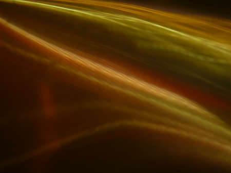 the abstract the light
