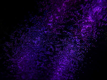 light