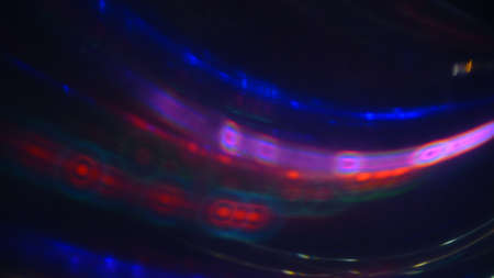 Light changesの写真素材