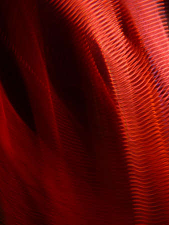 Magical light refraction backgrounの写真素材