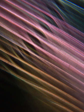 Gradient light abstract backgroundの写真素材