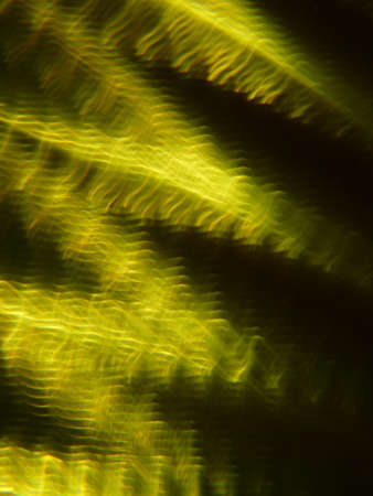 Fantasy background lightの写真素材