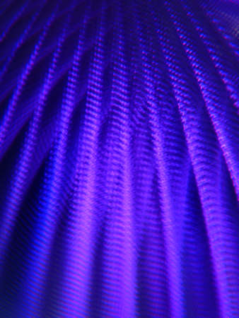 Fantasy background lightの写真素材