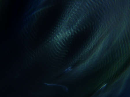 Fantasy background light