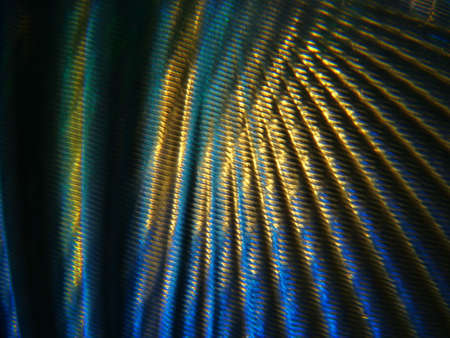 Fantasy background light