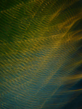 Blurred traces colored background