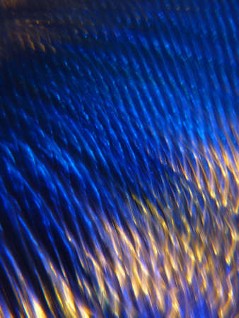 Blurred traces colored background
