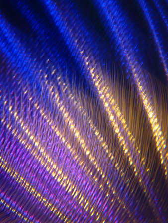 Colorful light smooth lines backgroundの写真素材