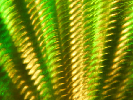 Unbelievable light refraction backgroundの写真素材