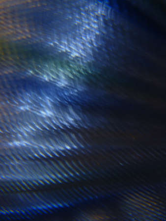 Incredible light refraction background