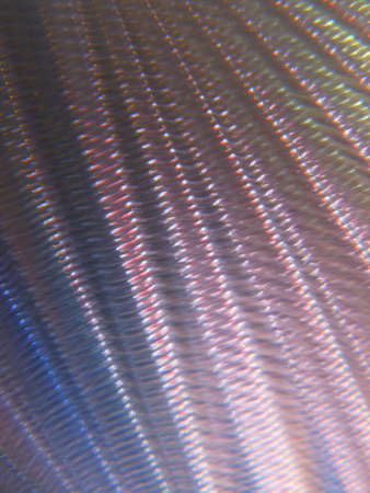 colorful abstract background