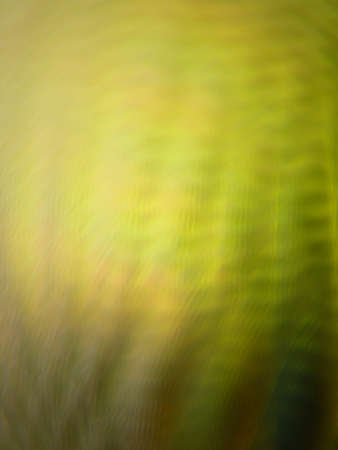 Vibrant abstract backgroundの写真素材