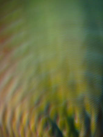 Vibrant abstract background