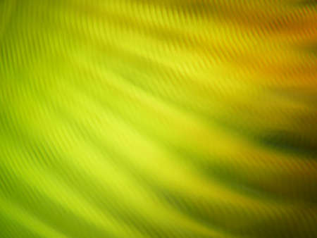 Unbelievable light refraction backgroundの写真素材