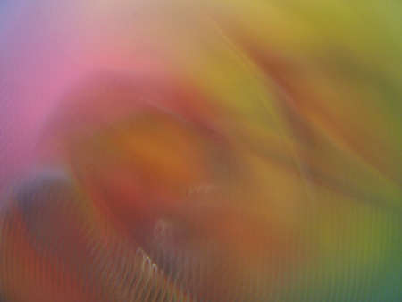 No direction limitation colored backgroundの写真素材