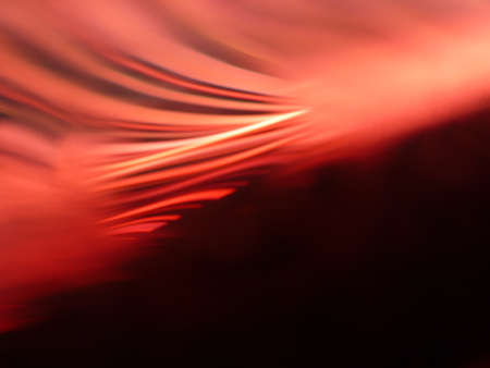 light effects backgroundの写真素材