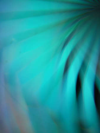 A full range of layersの写真素材