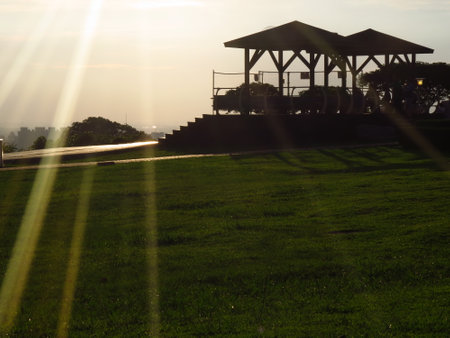 Sunset in the park with sunbeams and lens flare.の写真素材