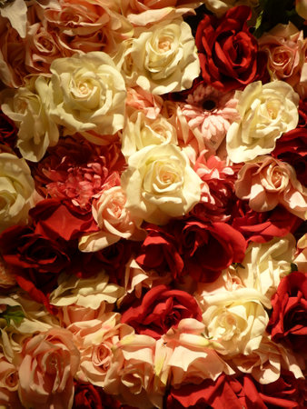 colorful artificial roses background, red and white roses in full bloomの写真素材