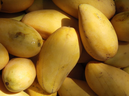 Ripe mango fruit in the market. Close up of yellow mango.
