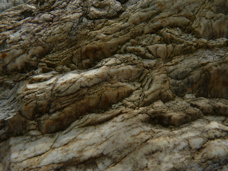 Rock texture background. Close up view of the surface of the rock.の写真素材