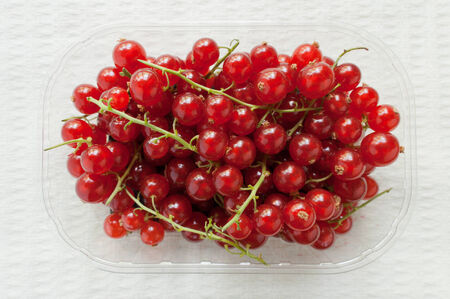 Close-up of red currant berries in a plastic basket